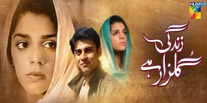 Zindagi Gulzar Hai