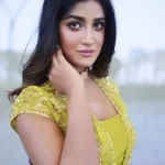 Dimple Hayathi
