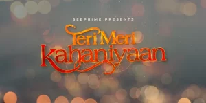 Teri Meri Kahaniyaan
