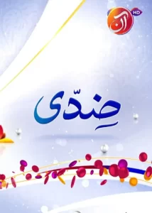 Ziddi