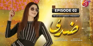 Ziddi