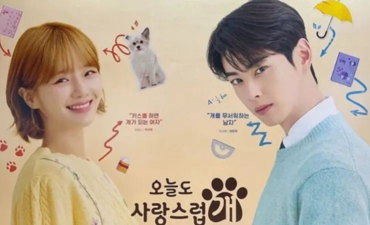 A Good Day to Be a Dog broadcasting confirms