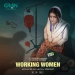 jenaan hussain in Working Women drama cast