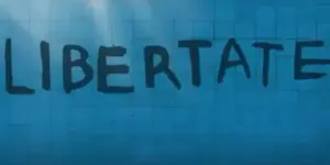 Freedom