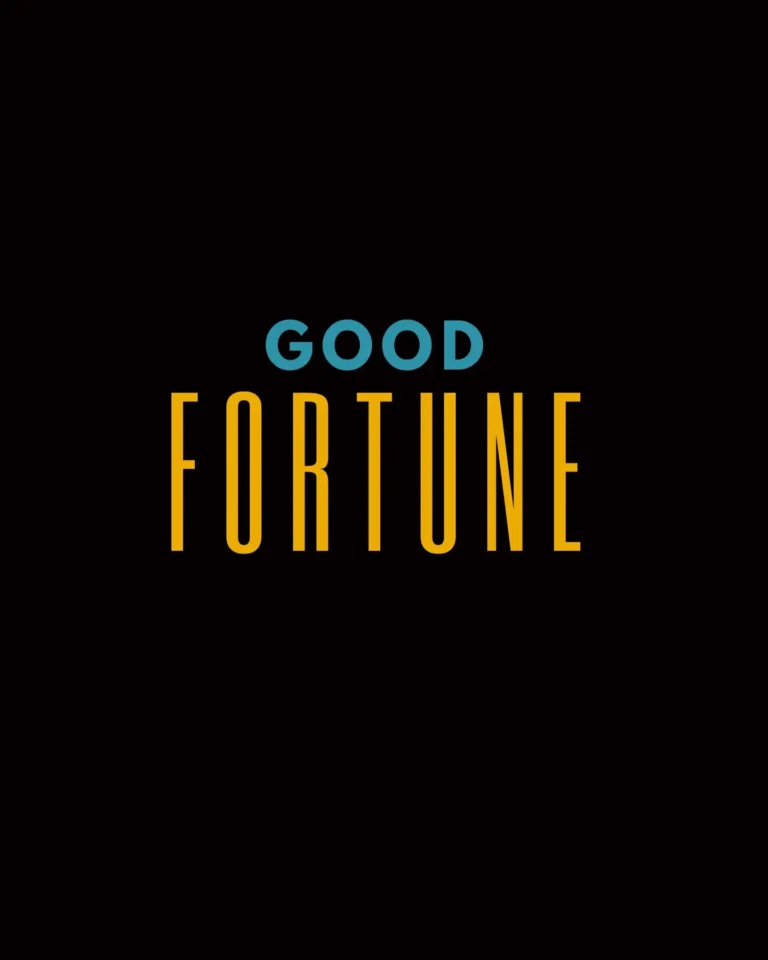 Good Fortune American Movie 2025