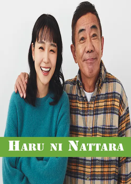 Haru ni Nattara Drama 2024