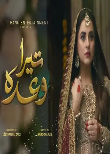 Tera Wada Pakistani Drama 2023 Cast