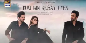 Tum Bin Kesay Jiyen