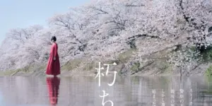 Kuchinai Sakura