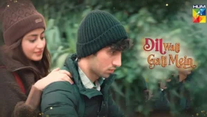 Dil Wali Gali Mein - Gallery image 2