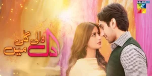 Dil Wali Gali Mein