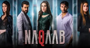NAQAAB - Gallery image 3