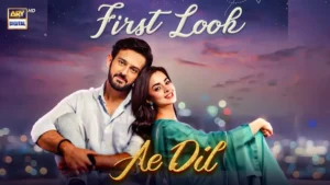 AE DIL - Gallery image 1