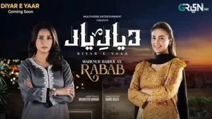 Diyar e Yaar - Gallery image 1