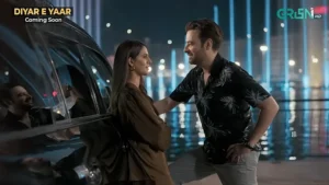 Diyar e Yaar - Gallery image 6