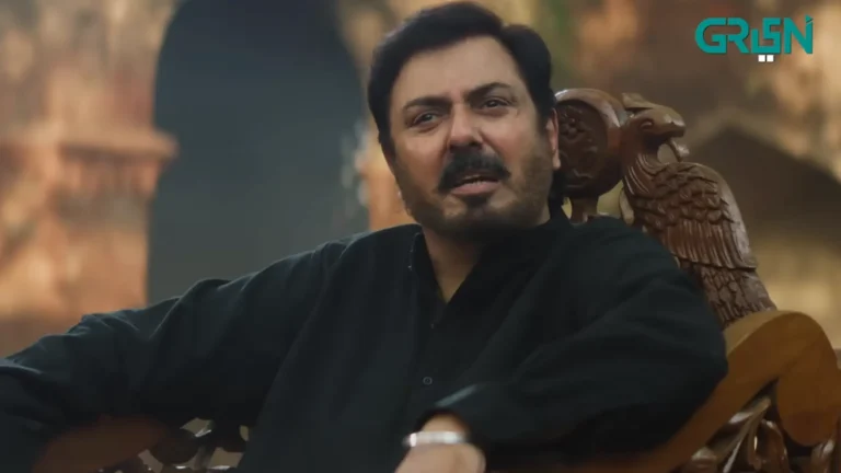 Nauman Ijaz In DuniyaPur Drama Cast 2024