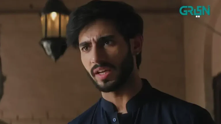 Ali Raza In DuniyaPur Drama Cast