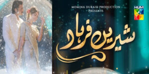 Shirin Farhad - Gallery image 4