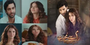 Meem Se Mohabbat Hits New Highs: The Secret Behind Its Success