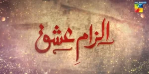 Ilzaam e Ishq