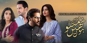 Main Manto Nahi Hoon