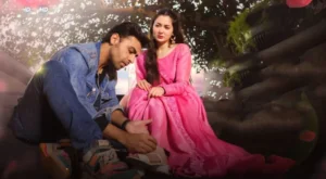 Mere Humsafar Season 2 - Gallery image 3