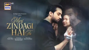 Meri Zindagi Hai Tu - Gallery image 1