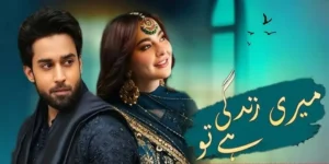 Meri Zindagi Hai Tu