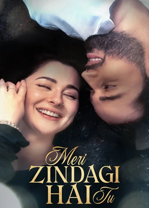 Meri Zindagi Hai Tu Pakistani Drama 2025