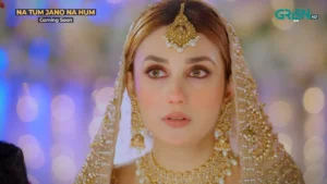 Na Tum Jano Na Hum - Gallery image 4