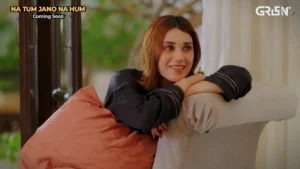 Na Tum Jano Na Hum - Gallery image 1