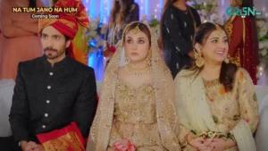 Na Tum Jano Na Hum - Gallery image 5