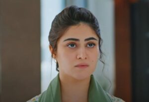 Raaja Rani - Gallery image 10