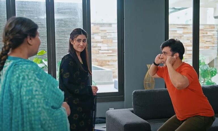 Raaja Rani HUM TV Drama Cast 2025