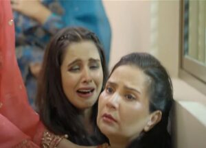 Sher - Gallery image 23