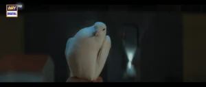 Main Manto Nahi Hoon - Gallery image 27