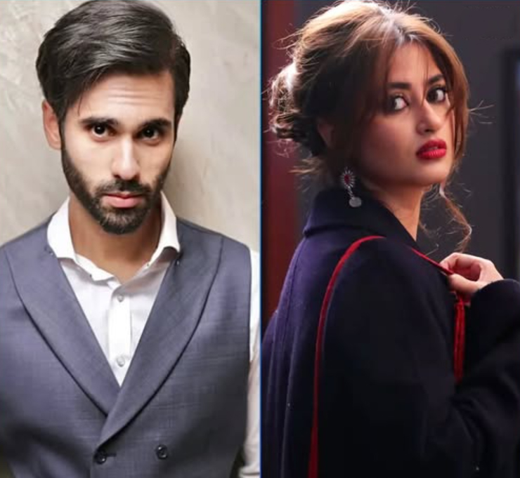 Ameer Gilani and Sajal Aly Upcoming Drama