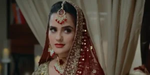 Baray Bhaiya - Gallery image 3