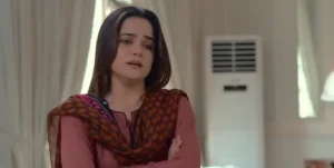 Baray Bhaiya - Gallery image 1