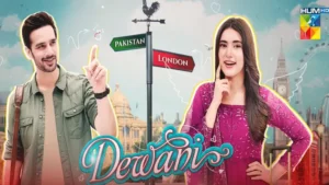 Deewani - Gallery image 1