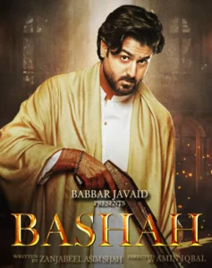 Ghulam Bashah Sundri - Gallery image 2