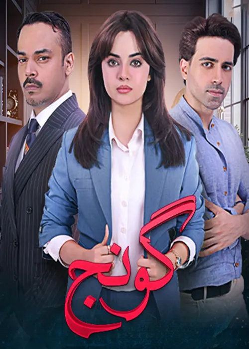 Goonj Pakistani Drama 2025