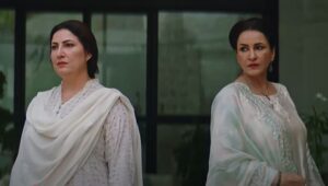 Main Manto Nahi Hoon - Gallery image 11