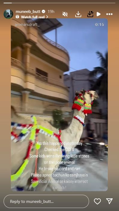 Muneeb Butt Qurbani Camel Runs Video