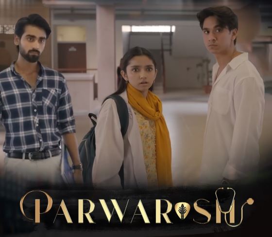 Parwarish Drama Aina Asif Slap Scene