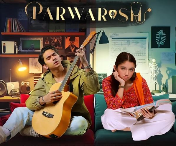 Parwarish Episode 17 Highlights