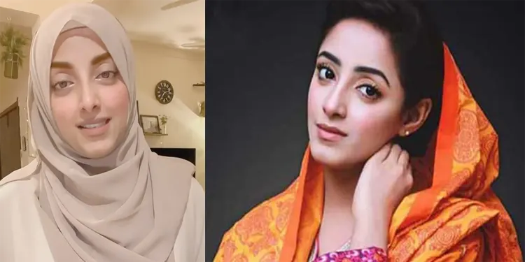 Sanam Chaudhry Return Pakistani Drama