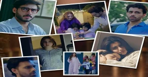Dastak Last Episode Review