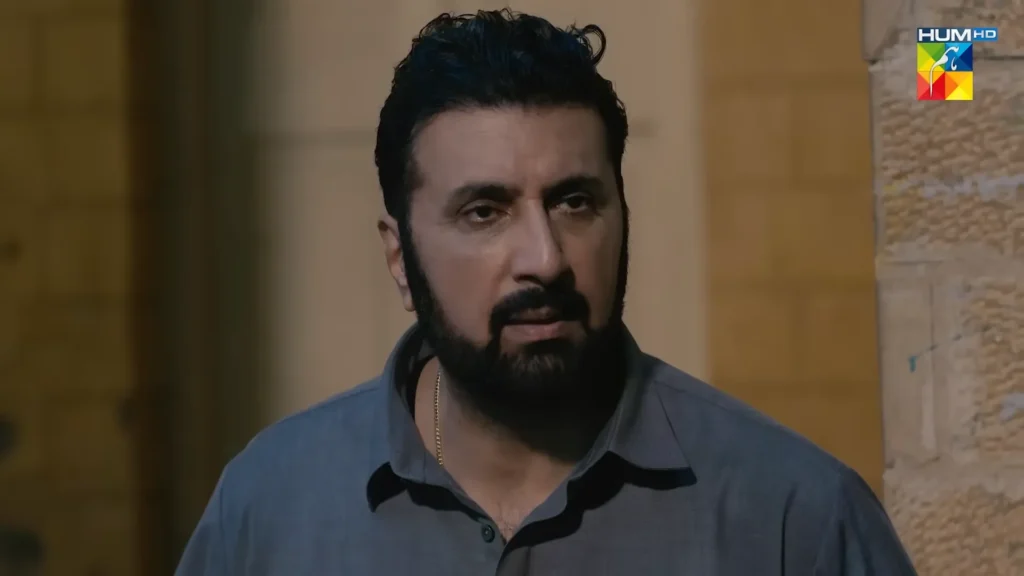 HUM TV Drama Laadli Cast