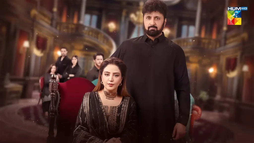 HUM TV Drama Laadli Cast